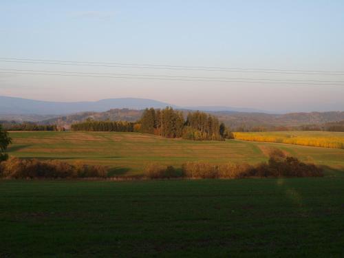 a green field with trees and mountains in the background at apartman17 in Syřenov
