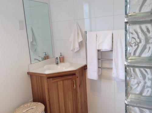 een badkamer met een wastafel en een spiegel bij The Gables B&B in Ohakune