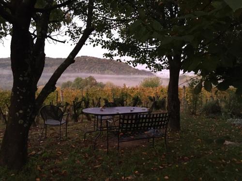 a picnic table and two chairs in a field of grapes at Apartma Vita in Dobrovo