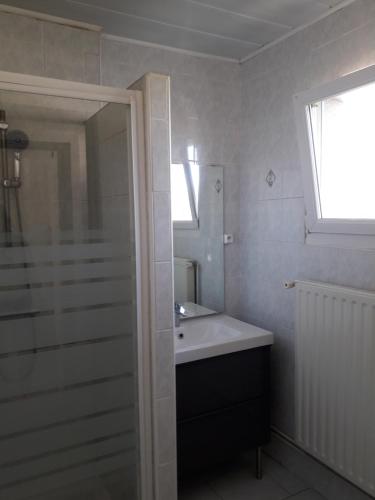 La salle de bains blanche est pourvue d'un lavabo et d'une douche. dans l'établissement Jolie maison de campagne, à Fresnes-en-Woëvre