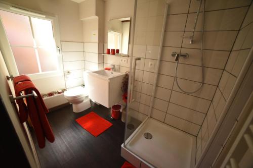 a small bathroom with a toilet and a shower at Gite Bim Maidala in Colmar