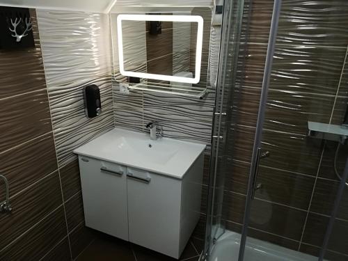 a bathroom with a sink and a mirror and a shower at Vila Lemic Postojna in Postojna
