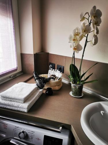 eine Küchentheke mit Spüle, Handtuch und Blumen in der Unterkunft LaGare in Neive