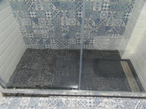 a bathroom with a shower with blue and white tiles at Apartamento en Triana in Seville
