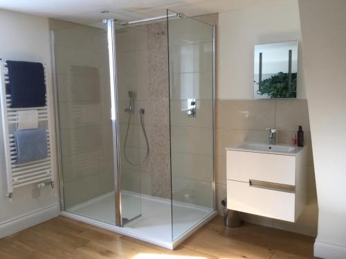 een badkamer met een douche en een wastafel bij Park House in Budleigh Salterton