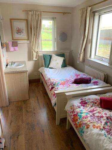 a bedroom with two beds and a sink and a window at The Mourne Lodge "Cnocnafeola" in Kilkeel