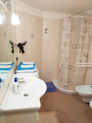 a bathroom with a white sink and a shower at Le Betulle in Vezzano