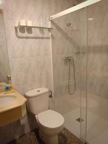a bathroom with a shower and a toilet and a sink at Hostal Casa Barranco in Castejón del Puente