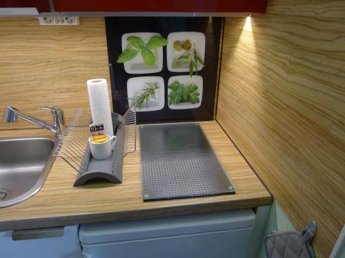 a miniature kitchen with a sink and a counter top at Alpenappartement Claudia in Piesendorf