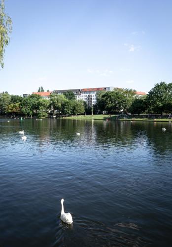 Výhled na řeku, která protéká v blízkosti hotelu