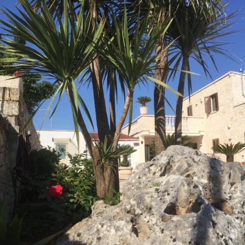 Fotografie z fotogalerie ubytování B&B Villa Grassi v Alberobellu