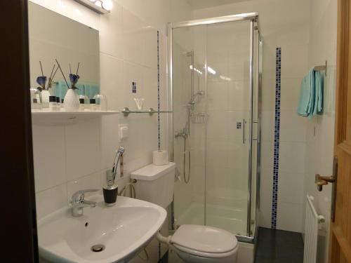 a bathroom with a shower and a toilet and a sink at Alpenappartement Claudia in Piesendorf