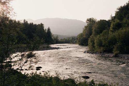 a river with trees on the side of it at Forest Camping Mozirje in Mozirje