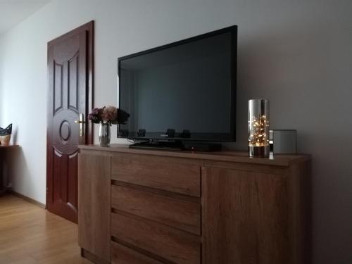 Μια τηλεόραση ή/και κέντρο ψυχαγωγίας στο Apartman Family