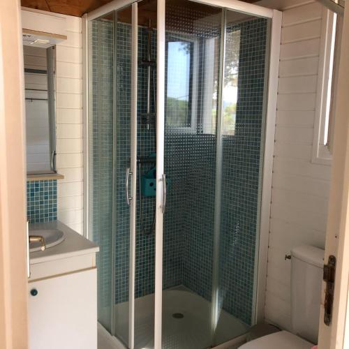 une douche avec une porte vitrée dans une salle de bain dans l'établissement Saint tropez -parc oasis, à Gassin