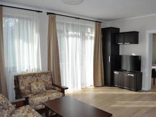 Kuchyň nebo kuchyňský kout v ubytování Transylvania Villa & Spa