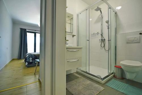 a bathroom with a shower and a toilet at Apartment Vanilla I with beautiful Seaview in Rabac