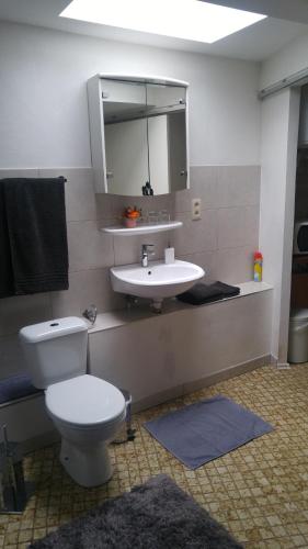 a bathroom with a toilet and a sink and a mirror at Ferienhaus Congolo in Lontzen