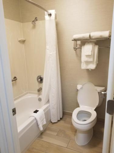 a bathroom with a toilet and a tub and a sink at Wingate by Wyndham Savannah I-95 North in Port Wentworth