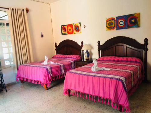 1 dormitorio con 2 camas con gatos blancos en Hotel Maria's Nicte Ha, en Progreso