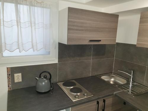 a kitchen with a sink and a tea kettle on the counter at Relax City Apartments in Kehl am Rhein