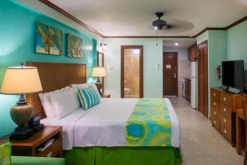 a bedroom with a bed and a television in it at Yellow Bird Hotel in Christ Church