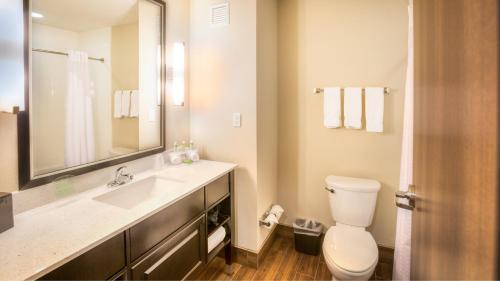 a bathroom with a toilet and a sink and a mirror at Holiday Inn Express Wichita South, an IHG Hotel in Wichita