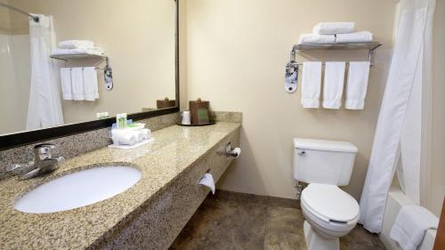 a bathroom with a sink and a toilet and a mirror at Holiday Inn Express Jamestown, an IHG Hotel in Jamestown