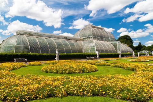 a greenhouse with yellow flowers in front of it at Best Western London Heathrow Ariel Hotel in Hillingdon