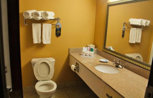 a bathroom with a toilet and a sink and a mirror at Lexington Inn and Suites in Lexington