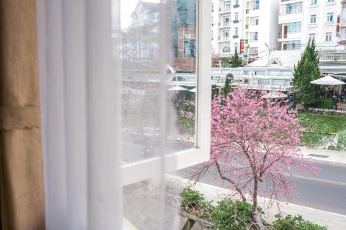 Galería fotográfica de Nice Dream Hotel en Dalat