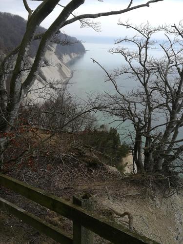 a view of the ocean from a hill with trees at Havehøjegaard in Borre