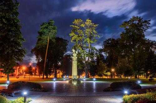 a monument in a park at night with lights at Marijampole Apartment in Marijampolė