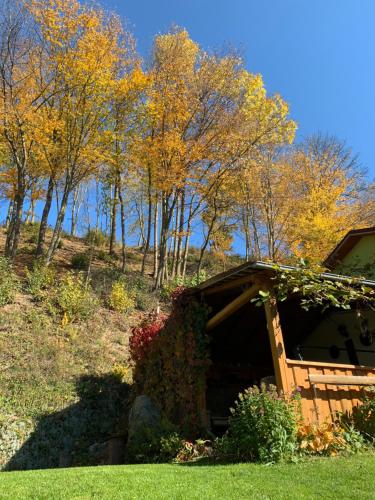 a house with autumn leaves on a hill with trees at Ubytovanie pod Skalkou in Dolný Kubín