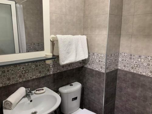 突尼斯Hôtel le calife的带水槽、马桶和镜子的浴室