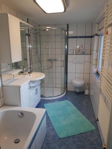 a bathroom with a shower and a sink and a toilet at Ferienwohnung Bonndorf in Wasungen