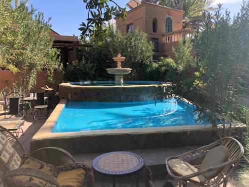 Le Chant Des Palmiers