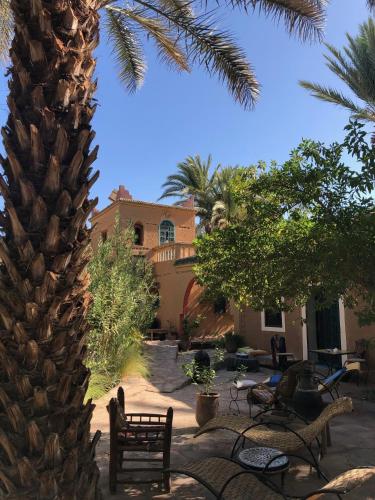 a palm tree in front of a house with benches at Le Chant Des Palmiers in Agdz