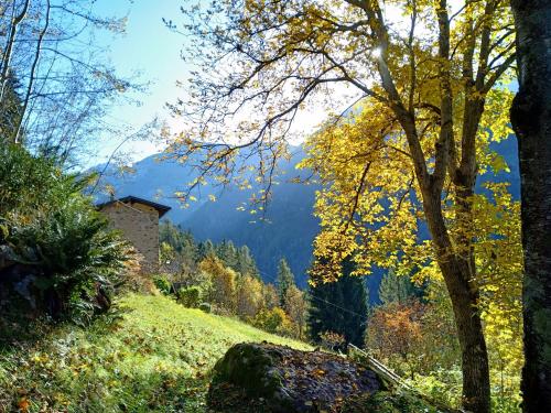 a hillside with a tree and a house on it at Orobie Alps Resort in Roncobello