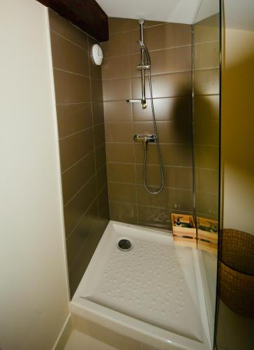 une douche avec une porte vitrée dans une salle de bain dans l'établissement Maison Bouquiere Le Pigeonnier, à Bordeaux
