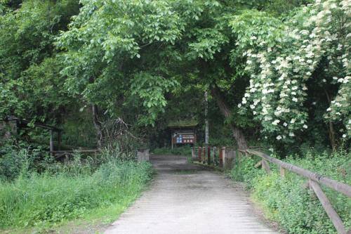 a dirt road with a tree with white flowers at Casas Rurales TAReira en Taramundi in Taramundi
