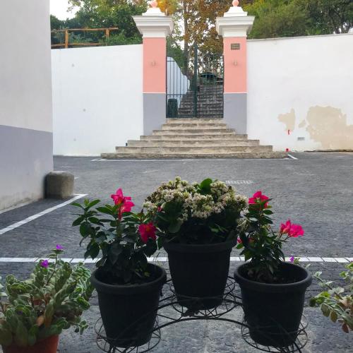 Jardín al aire libre en Palazzo D'Amaro Historical Residence