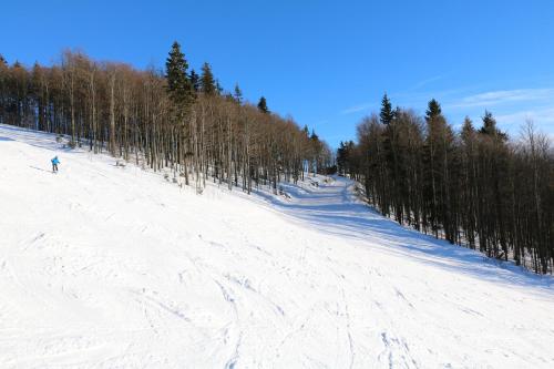 a person skiing down a snow covered slope with trees at Apartmany JaJ-Bavorsko in Mitterfirmiansreut