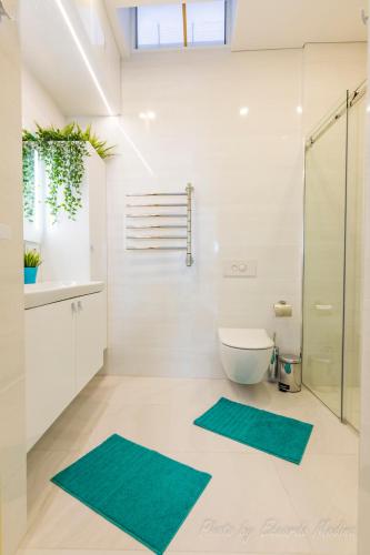 a bathroom with two green mats on the floor at RichMood Apartments - BEACH Apartment in Morro del Jable