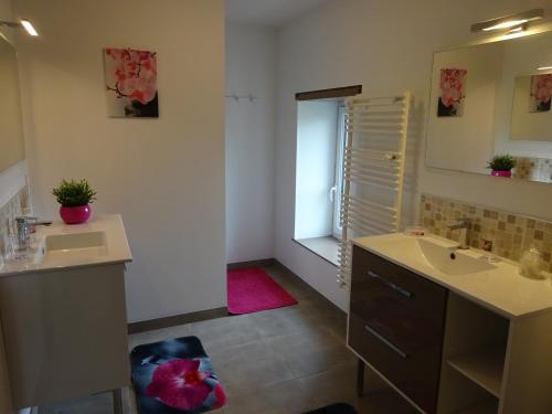 ein Badezimmer mit zwei Waschbecken und einem Spiegel in der Unterkunft Le Cottage de Paul et Angéline in Boismé