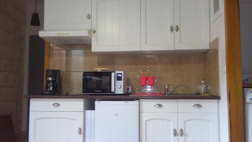 cocina con microondas y licuadora en una encimera en Studio climatisé Corps Saints, en Aviñón