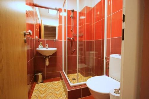 a bathroom with a shower and a toilet and a sink at Penzion 103 in Železná Ruda
