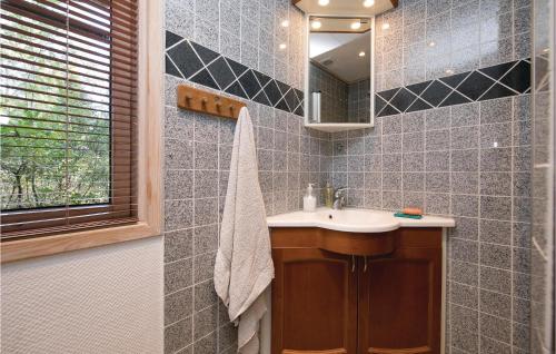 uma casa de banho com um lavatório e um espelho em Awesome Home In Hadsund With Wifi em Helberskov
