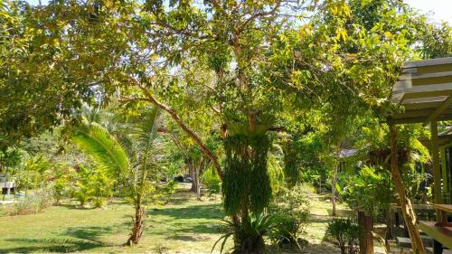 a tree in a park with a bench and trees at Baan Bua Cottage SHA EXTRA PLUS B5510 in Ko Kood