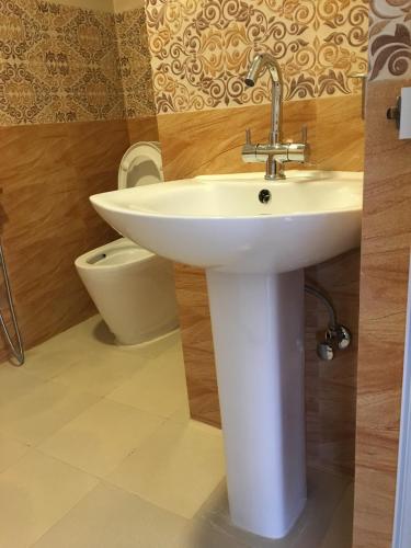 a bathroom with a white sink and a toilet at Hotel Lilyland Pvt Ltd in Pokhara